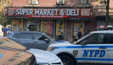 2-year-old killed by stray bullet at Bronx bodega, police say; 2 others injured