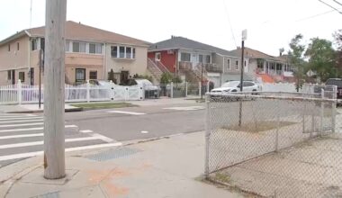 Pit bull attacks family as they unloaded groceries from car in the Rockaways, Queens