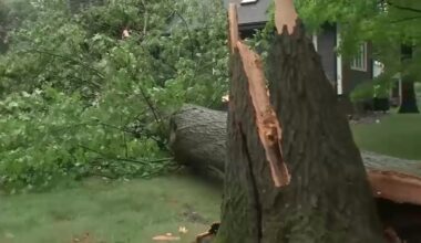More than 20 rescued as storms flood roads, topple trees and damage homes across New Jersey