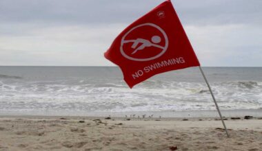 Rockaway Beach reopens after intermittent closures following multiple shark sightings – QNS