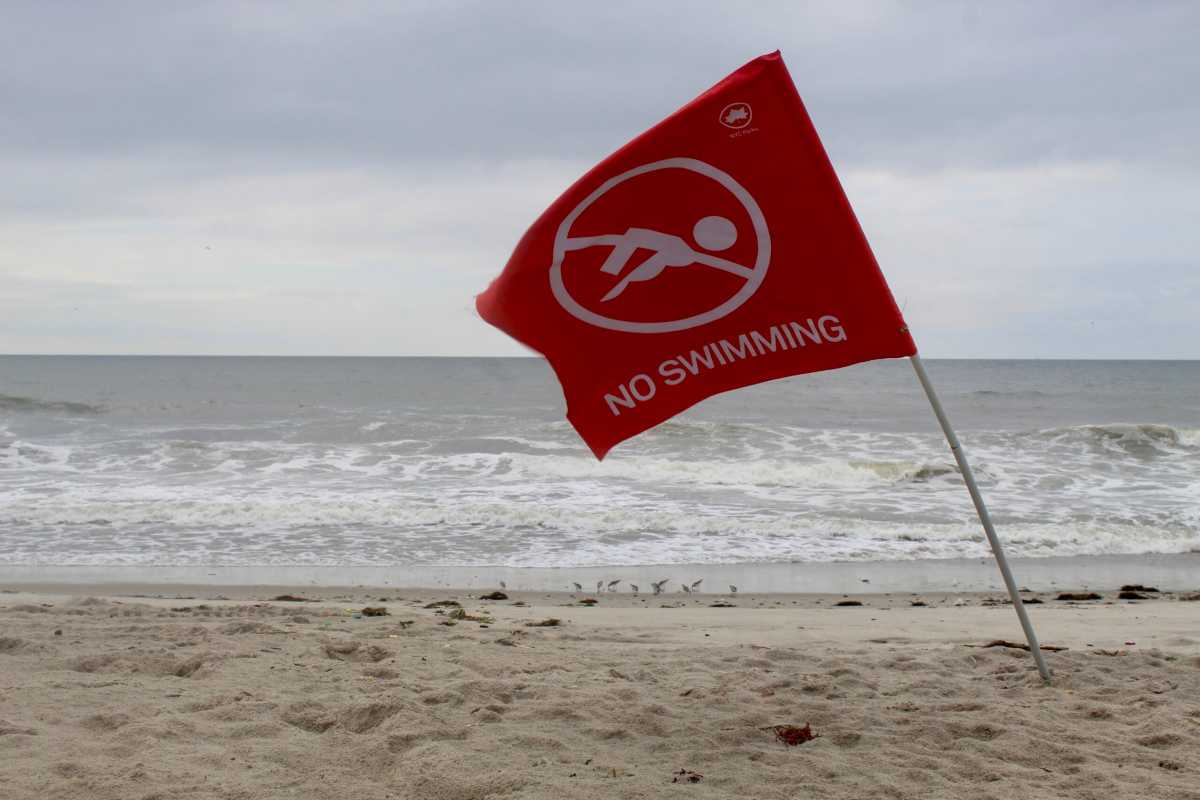 Rockaway Beach reopens after intermittent closures following multiple shark sightings – QNS