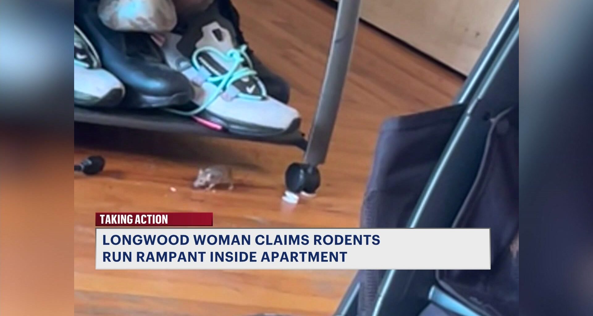 News 12 | Bronx | Im A Prisoner In My Home Longwood Tenant Claims Rodents Run Rampant Inside Apartment