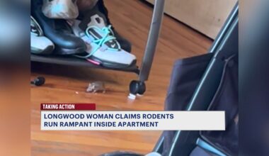News 12 | Bronx | Im A Prisoner In My Home Longwood Tenant Claims Rodents Run Rampant Inside Apartment