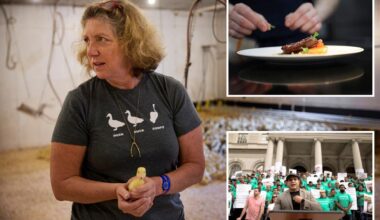 NYC's foie gras sales ban set for final appeal