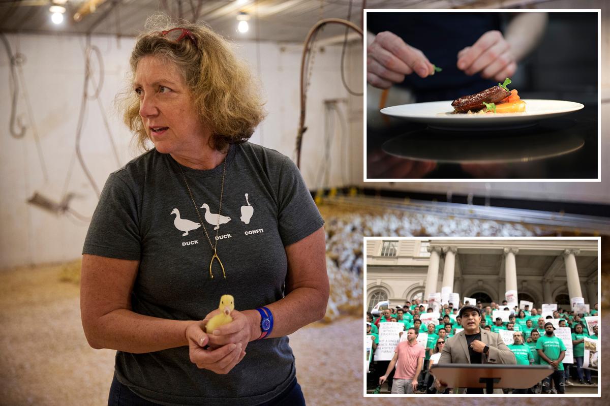 NYC's foie gras sales ban set for final appeal
