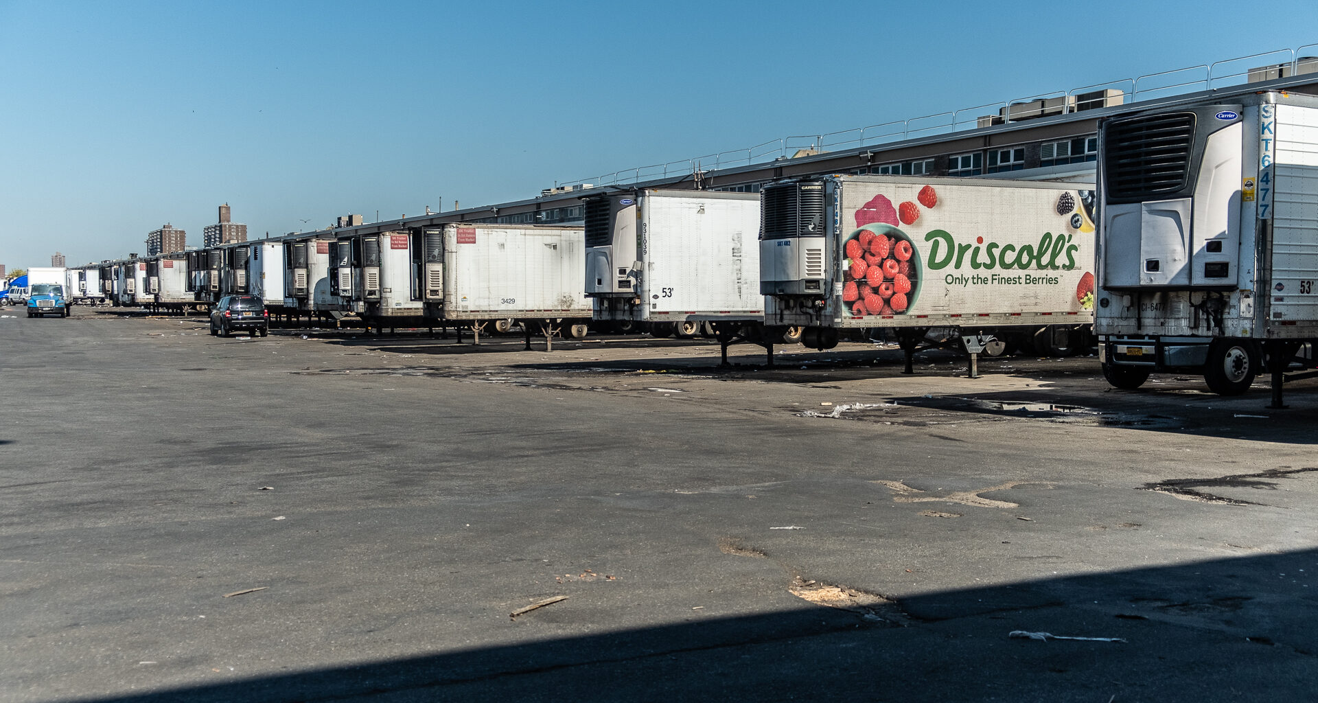 NYC's Food Lifelines: Building a System That Can Withstand Crisis