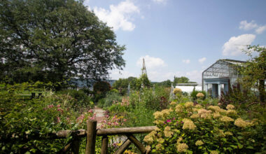 Saturday, Aug. 8 to dive into the world of artist Claude Monet and his water lilies at Wave Hill.
