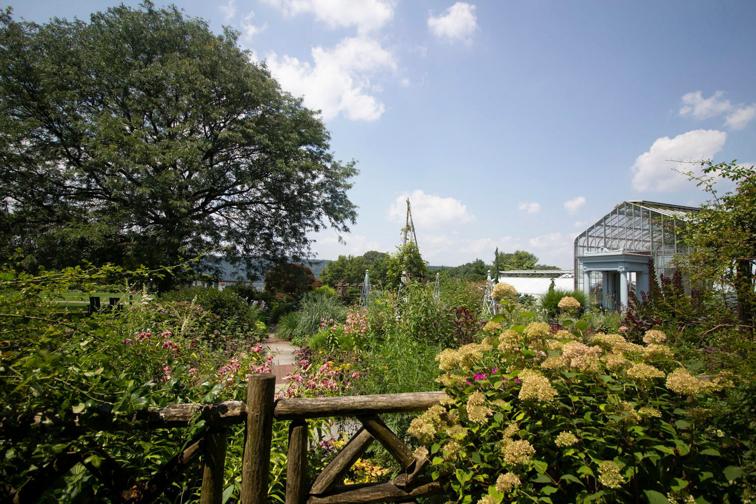 Saturday, Aug. 8 to dive into the world of artist Claude Monet and his water lilies at Wave Hill.