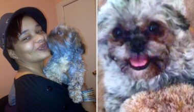 Woman begs thief to return pet Shih Tzu stolen from NYC subway station