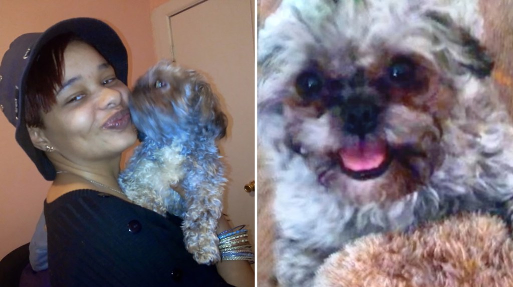 Woman begs thief to return pet Shih Tzu stolen from NYC subway station