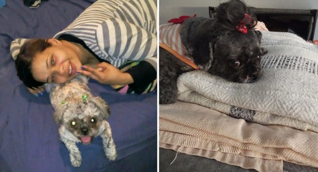 McKina Artis is pictured with her Shih Tzu, Lady, in undated photos. Lady was stolen from Artis on July 6, 2026, inside the Harlem-125th St. 4/5/6 subway station in East Harlem. (Courtesy of McKina Artis)