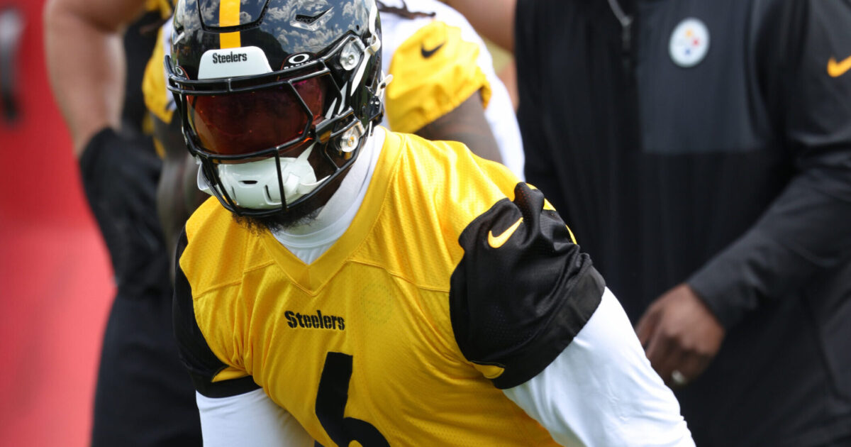 Patrick Queen declares he's excited for a new Steelers defensive coordinator