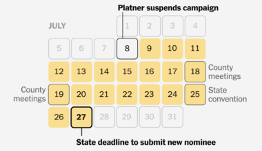 How Maine Democrats Intend to Replace Graham Platner
