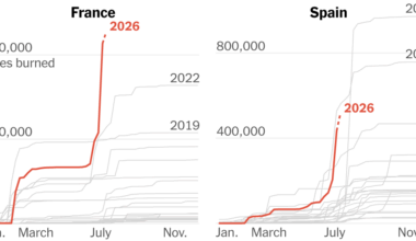 The Fires in France and Spain are Breaking Modern Records: Charts and Maps
