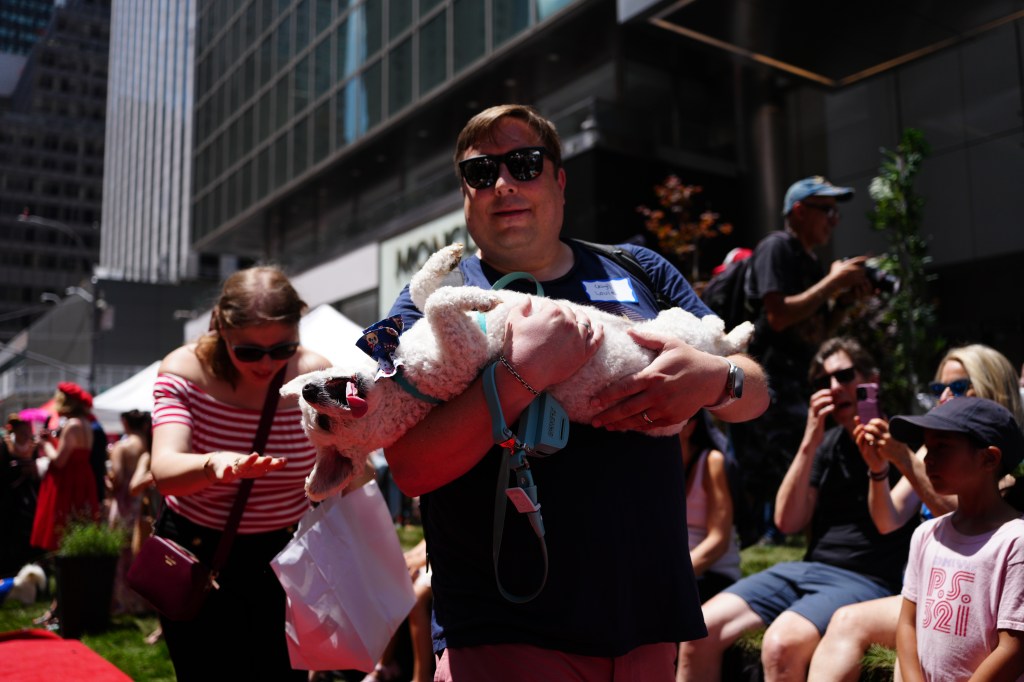 Dogs participate in the New York Dog Parade during LAlliance New Yorks annual Bastille Day celebration on Madison Avenue in New York, Sunday, July 12, 2026. The event marks Frances national holiday and commemorates the storming of the Bastille on July 14, 1789. (James Keivom for NY Post)