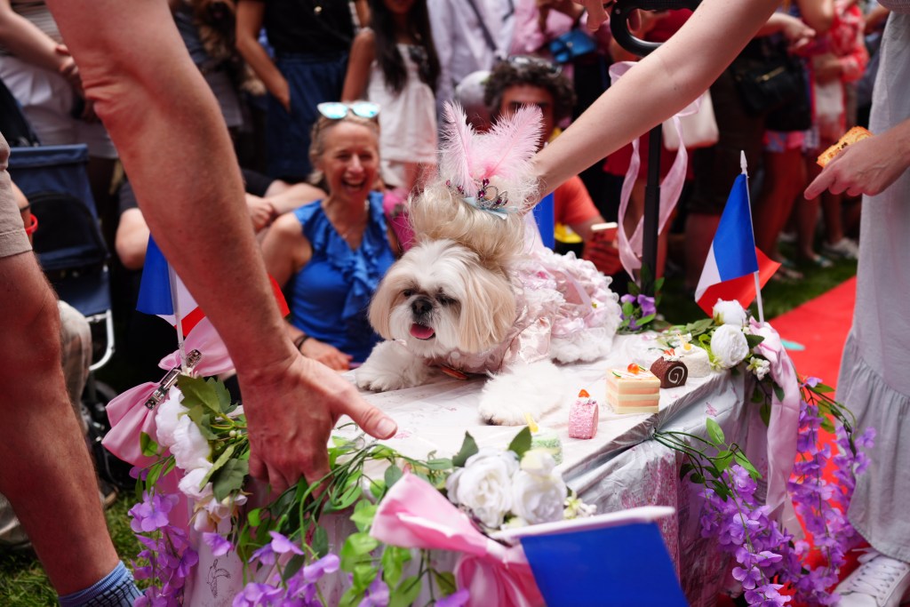 Dogs participate in the New York Dog Parade during LAlliance New Yorks annual Bastille Day celebration on Madison Avenue in New York, Sunday, July 12, 2026. The event marks Frances national holiday and commemorates the storming of the Bastille on July 14, 1789. (James Keivom for NY Post)
