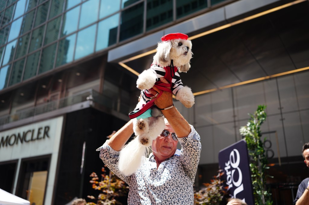 Dogs participate in the New York Dog Parade during LAlliance New Yorks annual Bastille Day celebration on Madison Avenue in New York, Sunday, July 12, 2026. The event marks Frances national holiday and commemorates the storming of the Bastille on July 14, 1789. (James Keivom for NY Post)