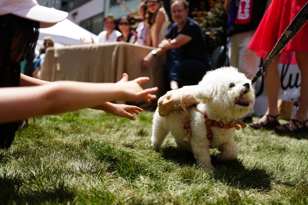 Dogs participate in the New York Dog Parade during LAlliance New Yorks annual Bastille Day celebration on Madison Avenue in New York, Sunday, July 12, 2026. The event marks Frances national holiday and commemorates the storming of the Bastille on July 14, 1789. (James Keivom for NY Post)
