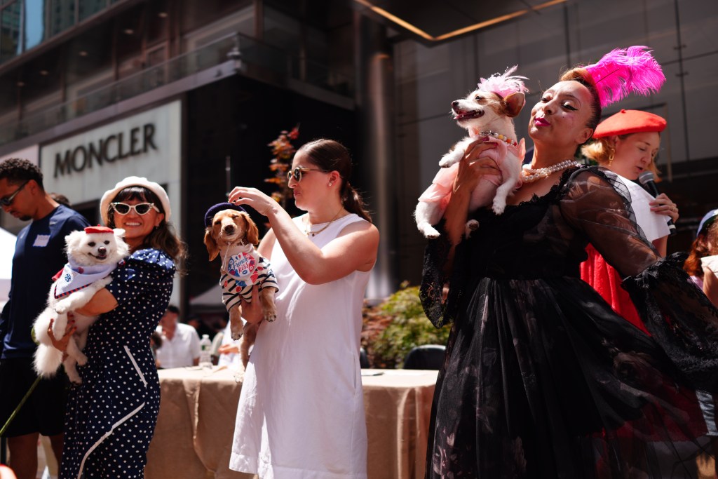 Dogs participate in the New York Dog Parade during LAlliance New Yorks annual Bastille Day celebration on Madison Avenue in New York, Sunday, July 12, 2026. The event marks Frances national holiday and commemorates the storming of the Bastille on July 14, 1789. (James Keivom for NY Post)