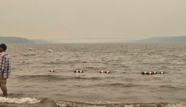New York officials warn of unhealthy air conditions due to Canadian wildfires amid high temperatures – Daily Freeman