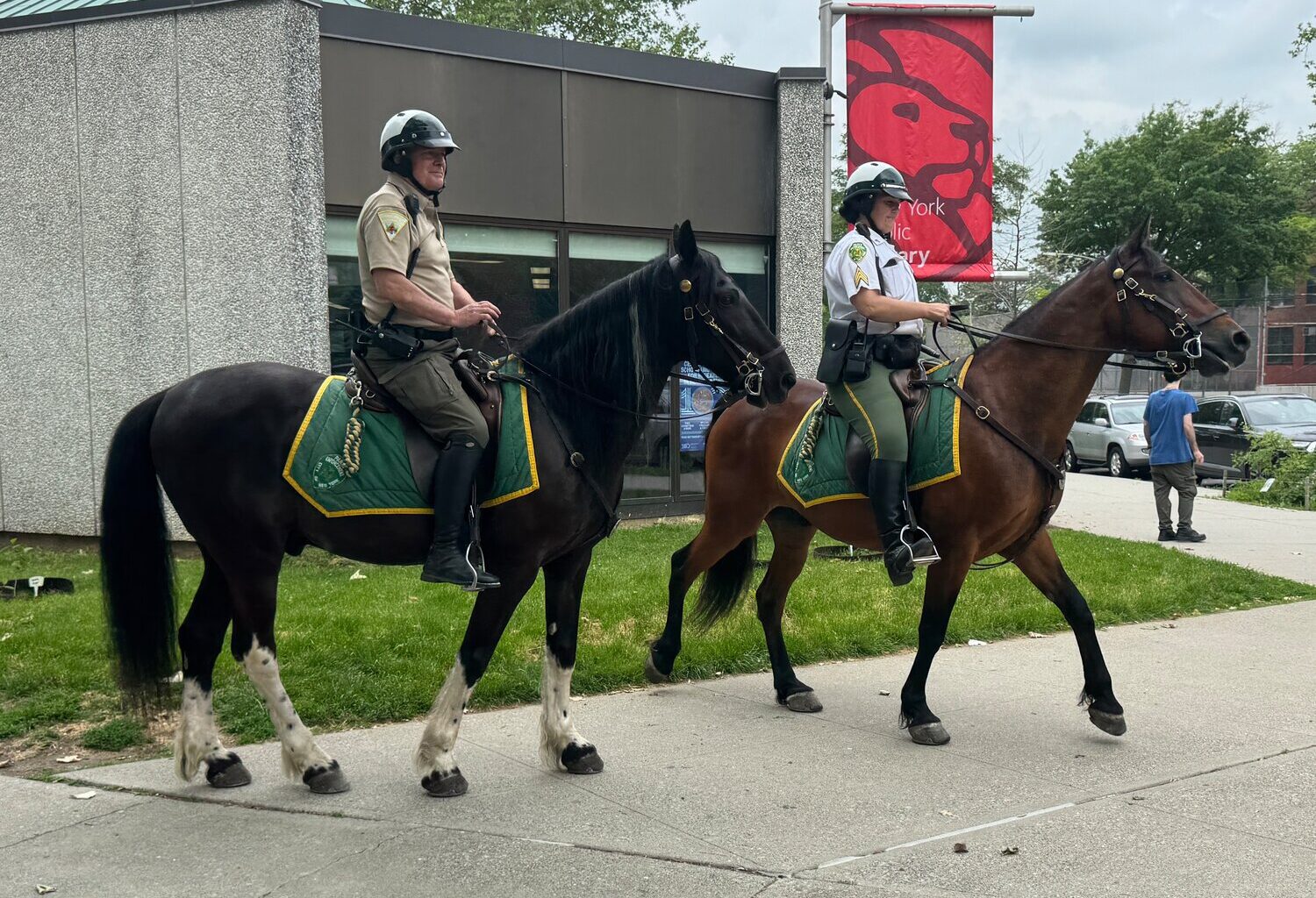 Mounted Parks Enforcement Patrol officers watch over city parks on horseback.