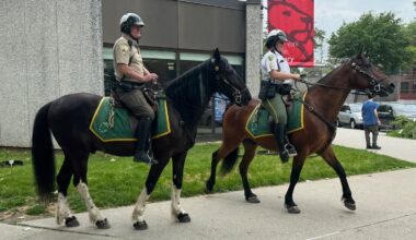 Mounted Parks Enforcement Patrol officers watch over city parks on horseback.