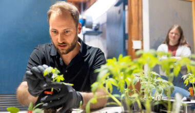 Master gardeners test for best NYS vegetable varieties