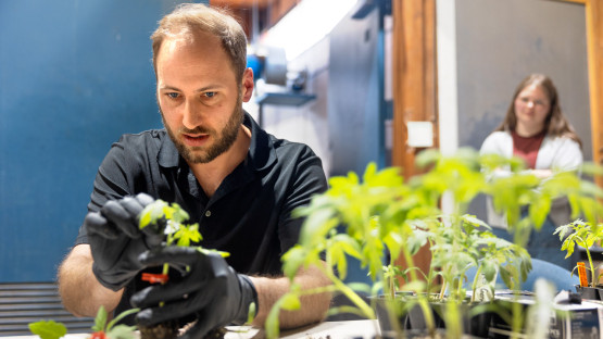 Master gardeners test for best NYS vegetable varieties