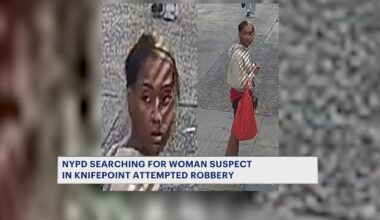 News 12 | Bronx | Nypd Searches For Woman Suspected Of Attempted Knifepoint Robbery