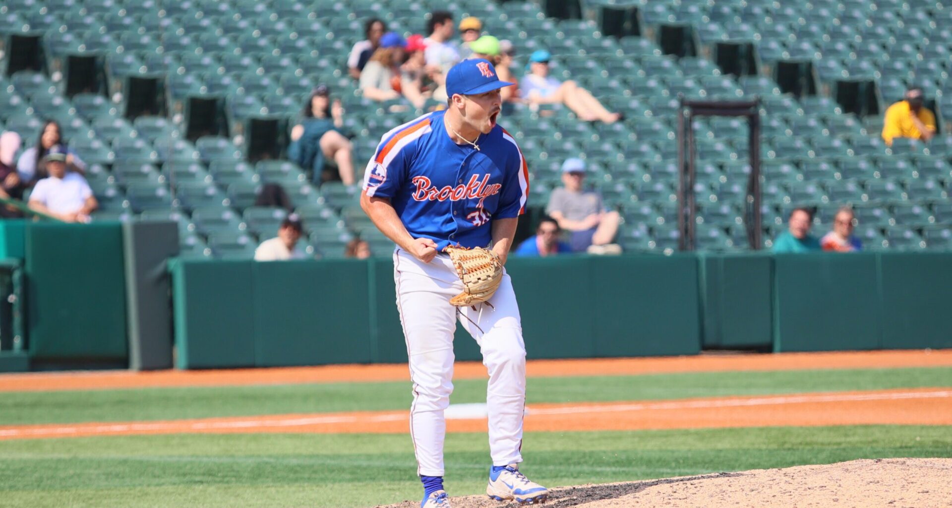 The Brooklyn Cyclones Report - The Wave
