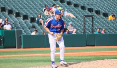 The Brooklyn Cyclones Report - The Wave