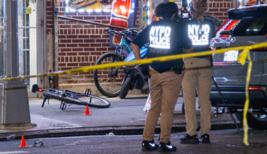 A 12-Year-Old Went to Buy a Ball. He Was Killed by a Stray Bullet.