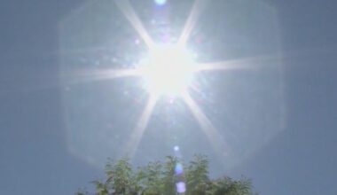 Unbearable heat suspected in 19 New Jersey deaths as high temperatures give way to thunderstorms