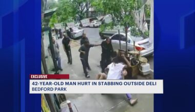 News 12 | Bronx | Person Stabbed Outside Of Deli In Bedford Park