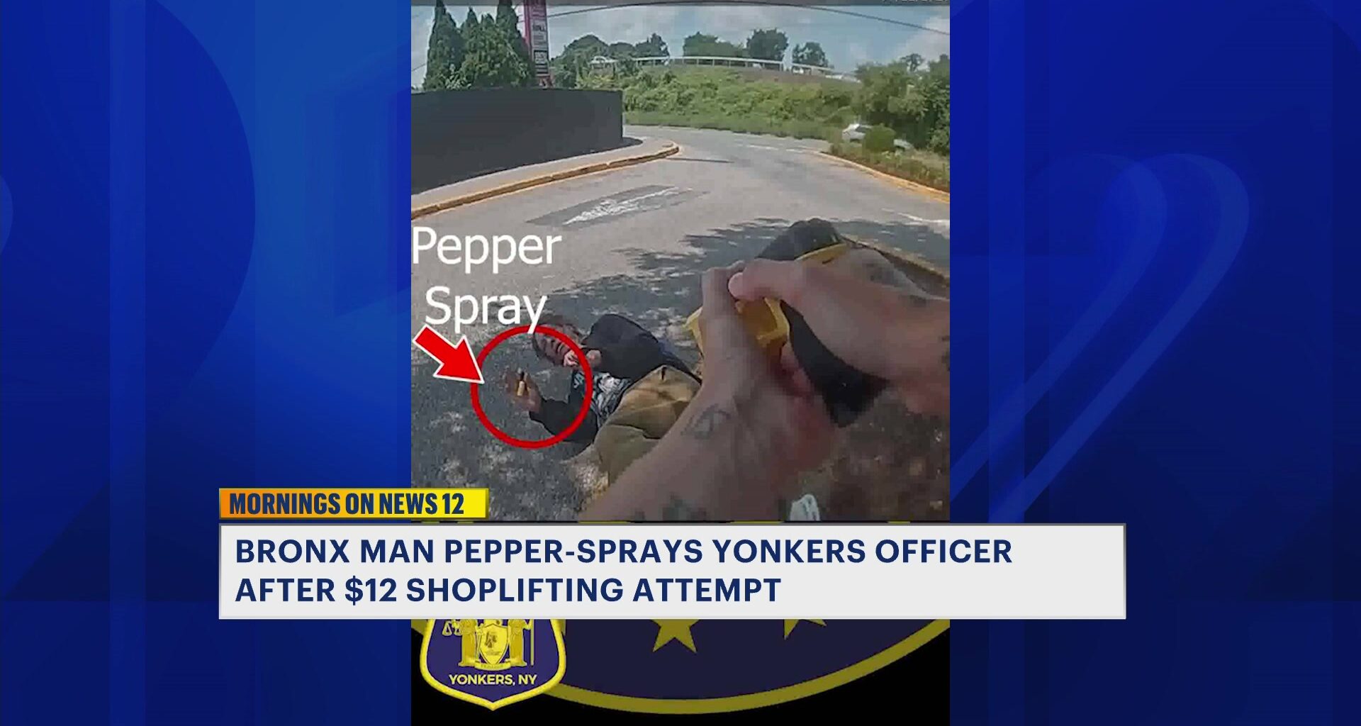 News 12 | Bronx | Bronx Man Pepper Sprays Officer After 12 Shoplifting Attempt
