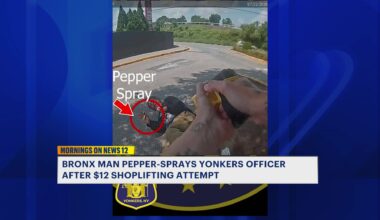 News 12 | Bronx | Bronx Man Pepper Sprays Officer After 12 Shoplifting Attempt
