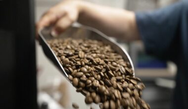 News 12 | Bronx | Made In The Bronx Bronx Roasting Company Brings Locally Roasted Coffee To City Island