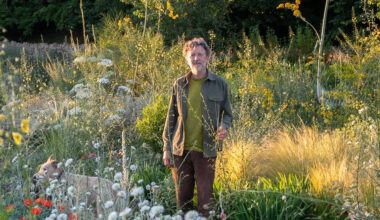 Why It’s Best Not to Rush a Garden