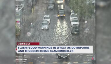 News 12 | Brooklyn | Severe Thunderstorms Flood Streets Businesses Across New York City