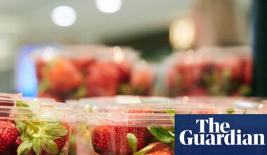 CDC investigates parasite that’s caused cases of ‘explosive’ diarrhea in 18 US states | US healthcare