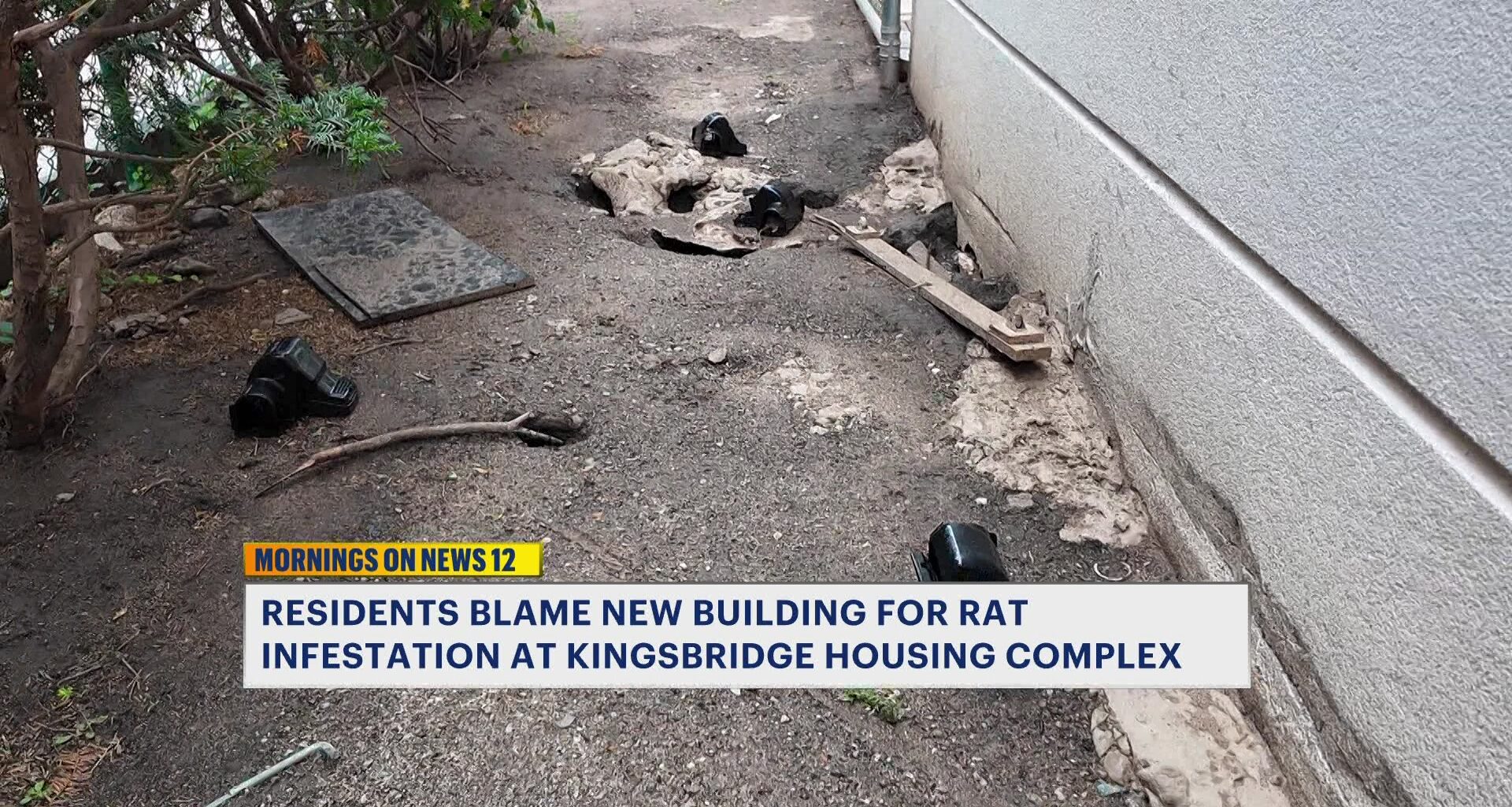 News 12 | Bronx | Residents Blame New Building For Rat Infestation At Kingsbridge Housing Complex