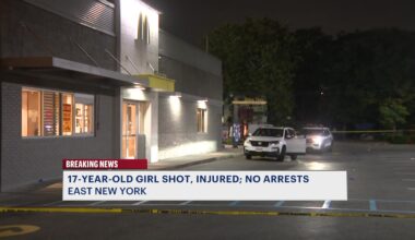 News 12 | Brooklyn | 17 Year Old Girl Shot Outside East New York Mcdonalds Gunman Still On The Run