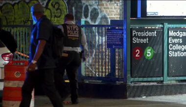Purse-snatcher shoots 18-year-old in chest on Brooklyn subway platform – NBC New York