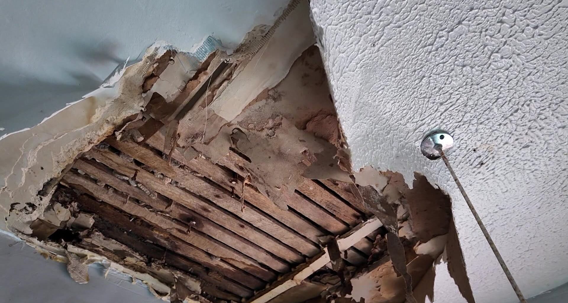 News 12 | Bronx | Its Nasty Bedford Park Tenant Says Collapsed Ceilings Mold And Pests Have Made Apartment Unlivable