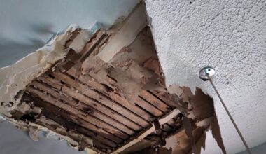 News 12 | Bronx | Its Nasty Bedford Park Tenant Says Collapsed Ceilings Mold And Pests Have Made Apartment Unlivable
