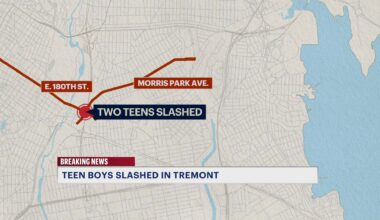 News 12 | Bronx | Two Teens Injured In Tremont Slashing