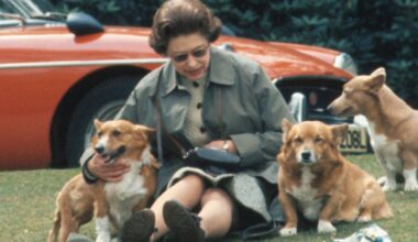 Queen Elizabeth's strict instructions for solitary evenings at home with corgis Muick and Sandy