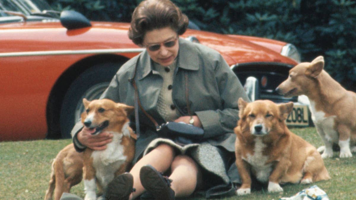 Queen Elizabeth's strict instructions for solitary evenings at home with corgis Muick and Sandy