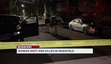 News 12 | Bronx | 39 Year Old Mount Vernon Woman Shot Killed Overnight In Wakefield