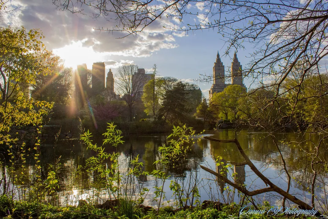 5 - Concrete structures scrape the skyline—a contrast to the serene scenes of Central Park.